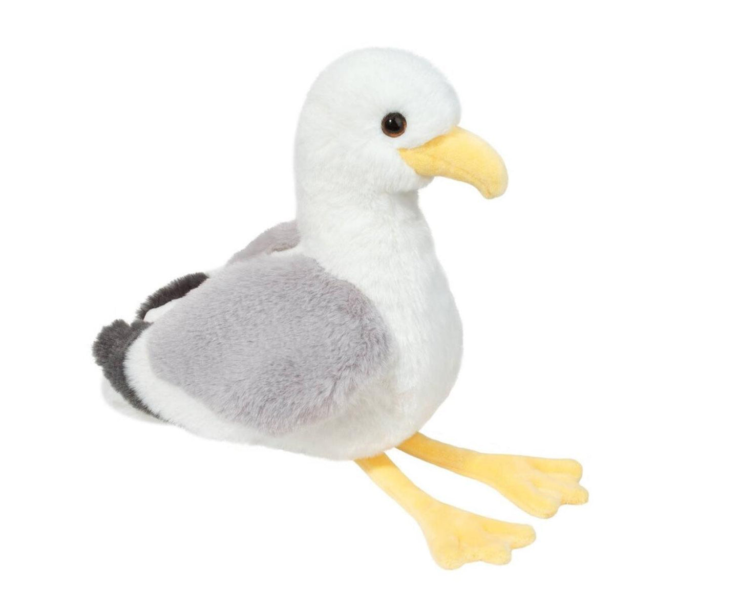 Stewie Sungull