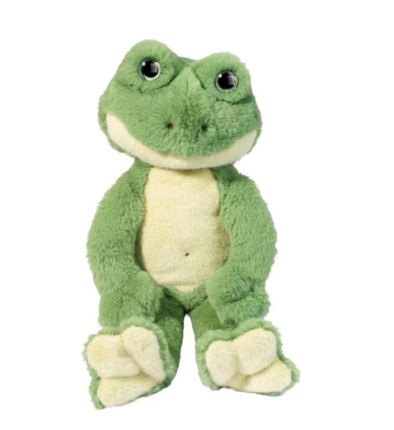 Floyd Frog