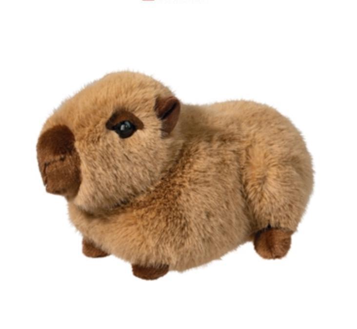 Chattie Capybara