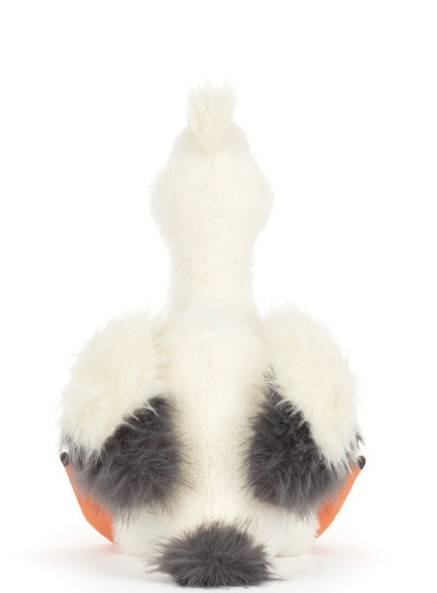 Keli Pelican