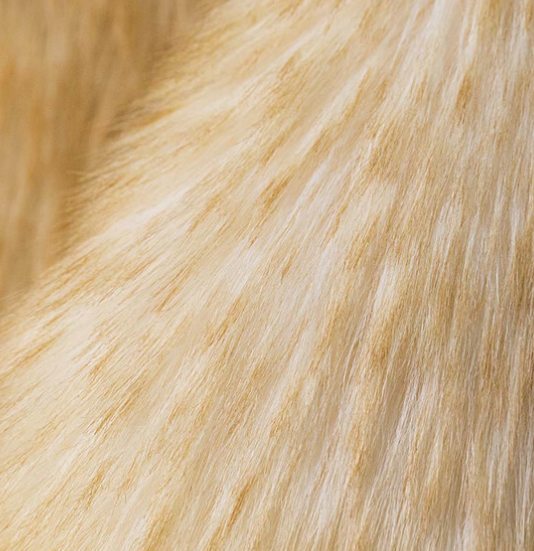 Springlowe Luxe Bunny Big