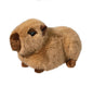 Chattie Capybara