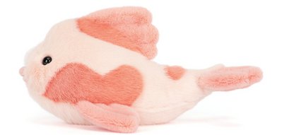 Fancy Carp