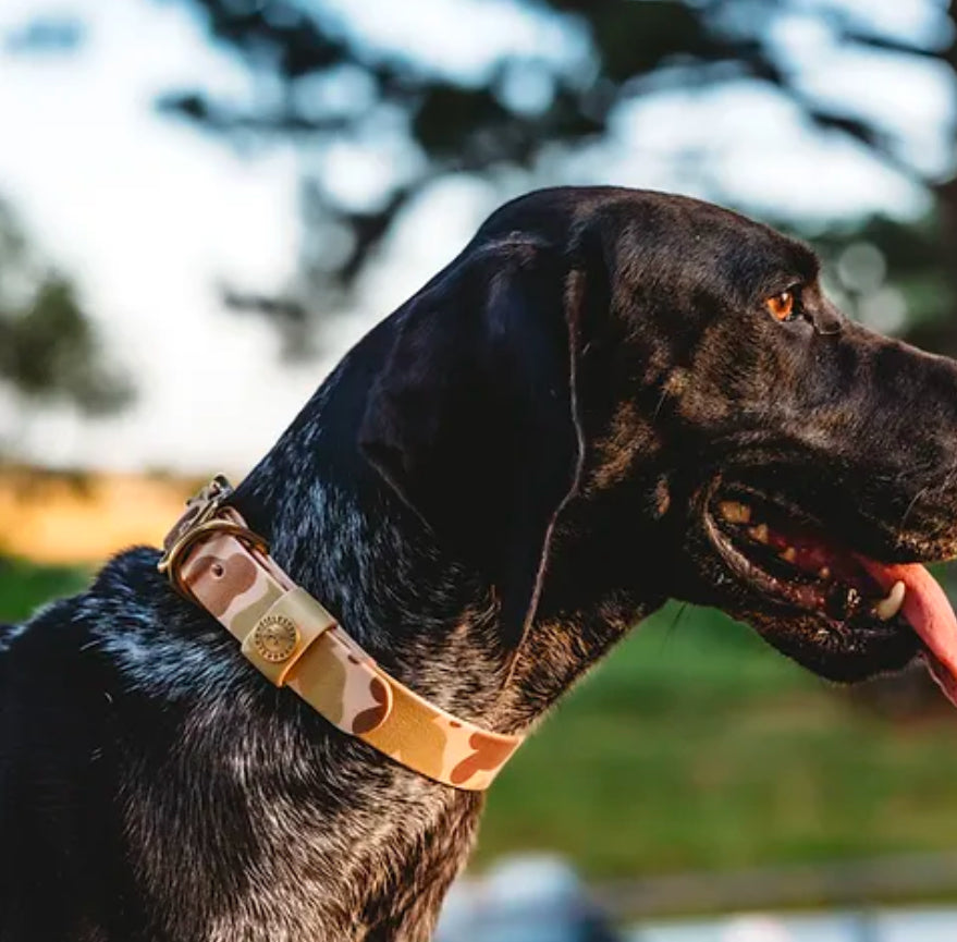 Camo Dog Collar