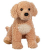 Noodle Golden Doodle