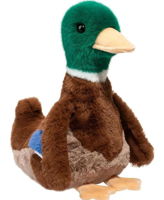Desie Mallard Duck