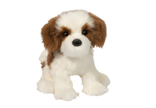 Farren Shih Tzu