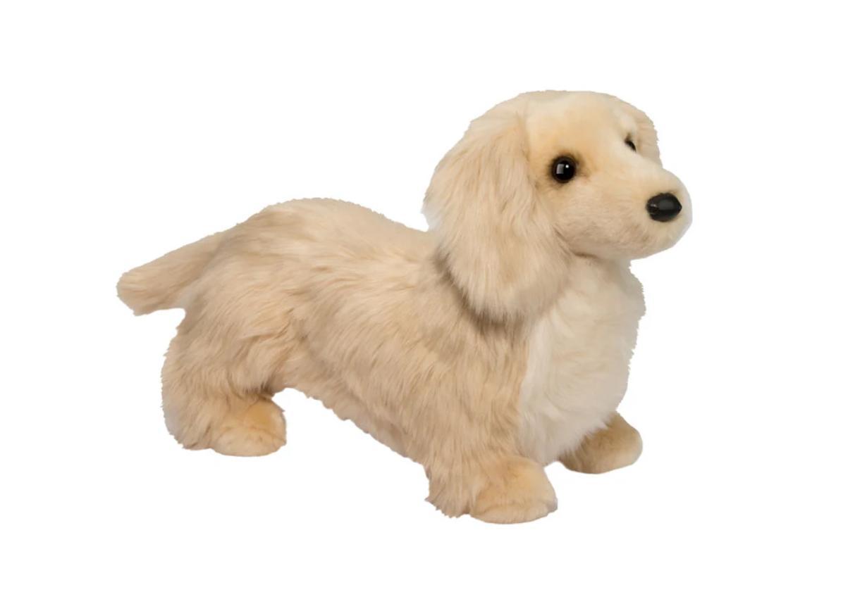 Haisley Golden Dachshund