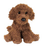 Ginger Miniature Poodle